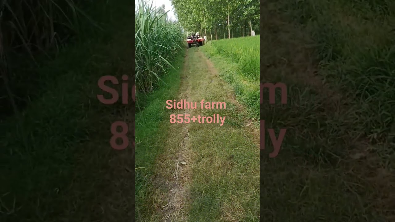 855+trolly chakroad part-2