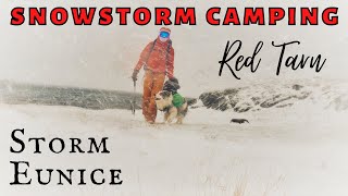 STORM CAMPING WITH A DOG in the Lake District UK Solo Wild Camp Fjallraven Tent on Helvellyn