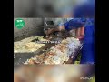 Sadam Barger Lahore Lahor Steet Food 