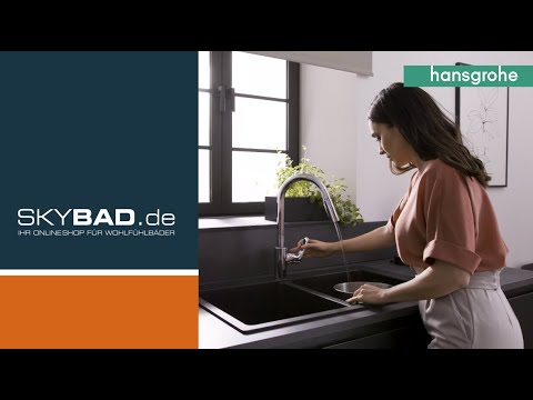 hansgrohe Focus M41-240 Küchenarmatur mit Ausziehbrause