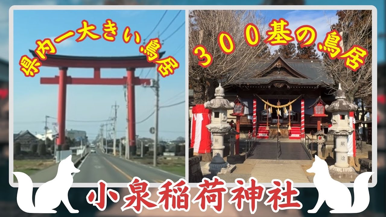 【群馬県】小泉稲荷神社・県内一の大鳥居と３００基の鳥居群 ＃パワースポット ＃天岩戸神話