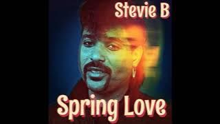 Stevie B - Spring Love (Remix)
