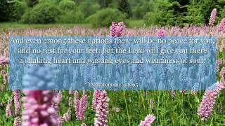 Deuteronomy 28:65 And even among these nations there will be no peace for you, and no rest for your