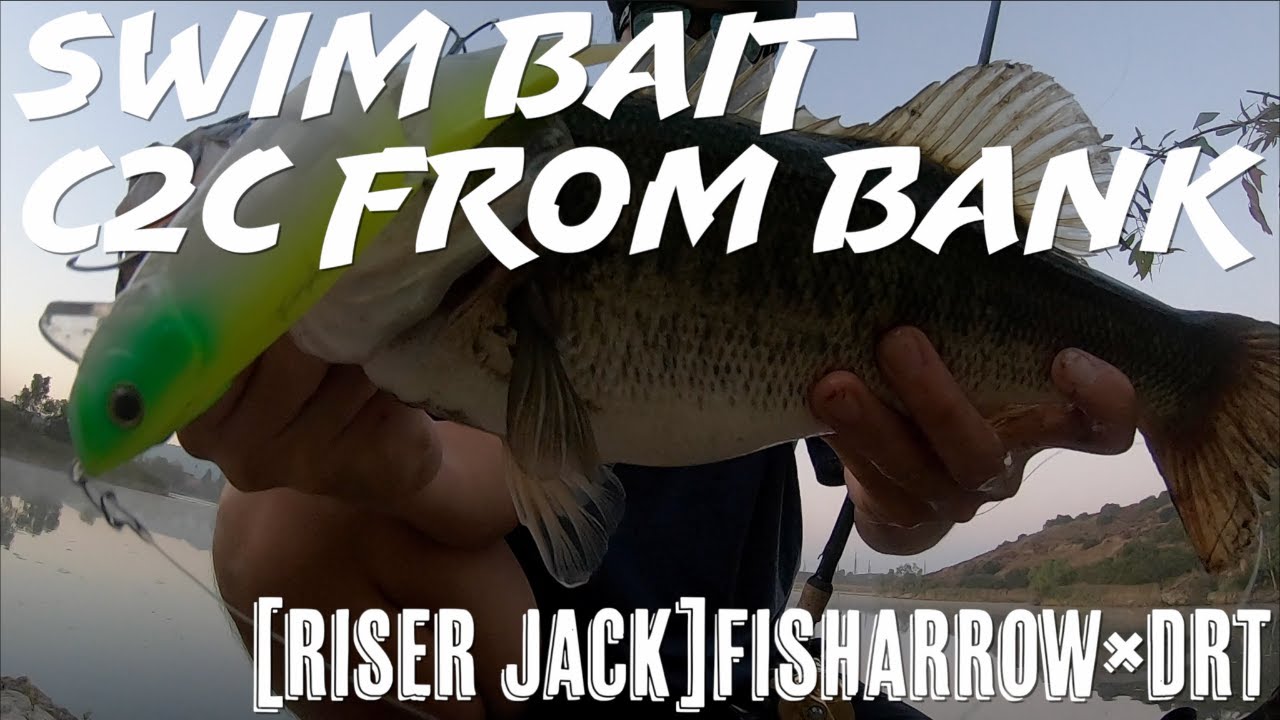 Summer Swimbait/Cast to Catch/BankFishing/【 RiSER JACK】FishArrow×DRT