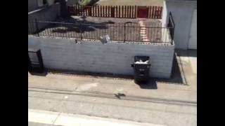 Don't touch my computer