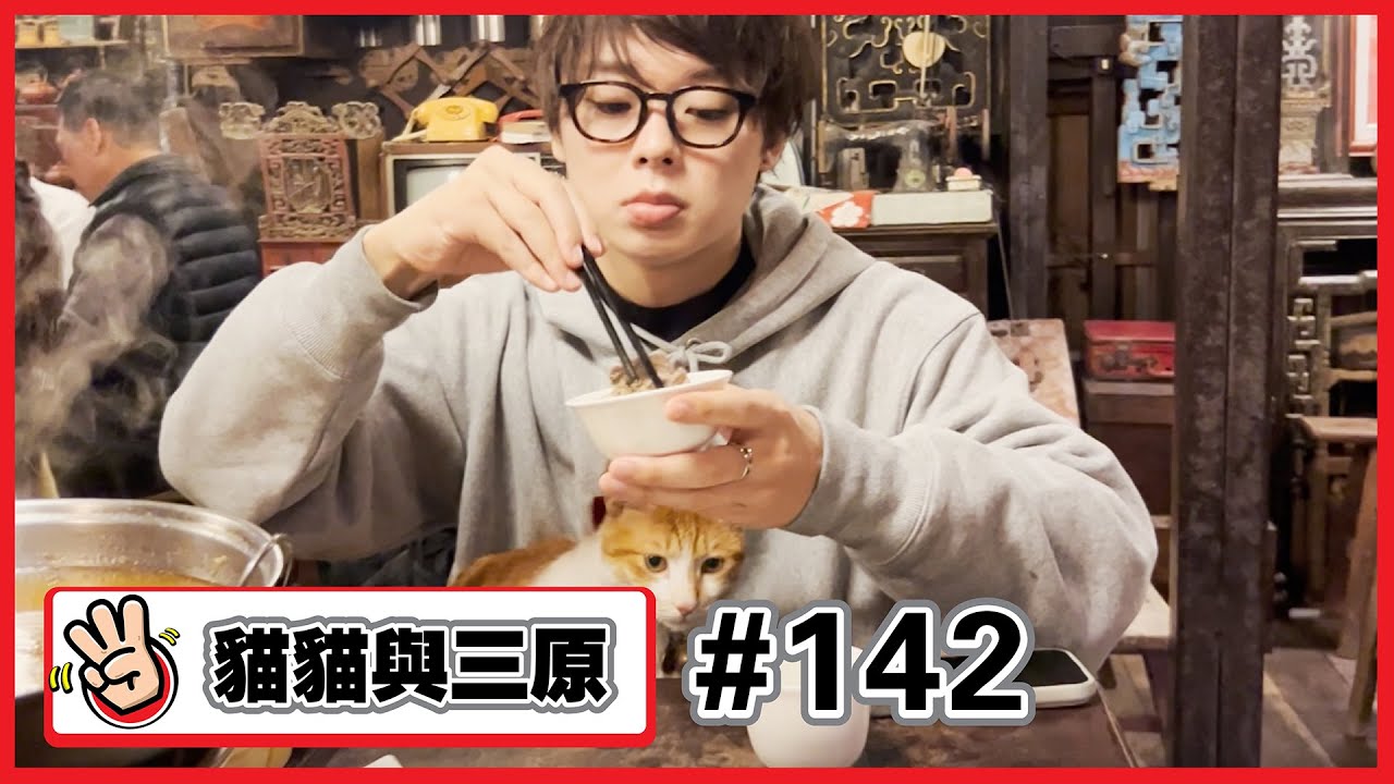 【貓貓與三原#142】吃飯吃到一半大腿長出貓咪