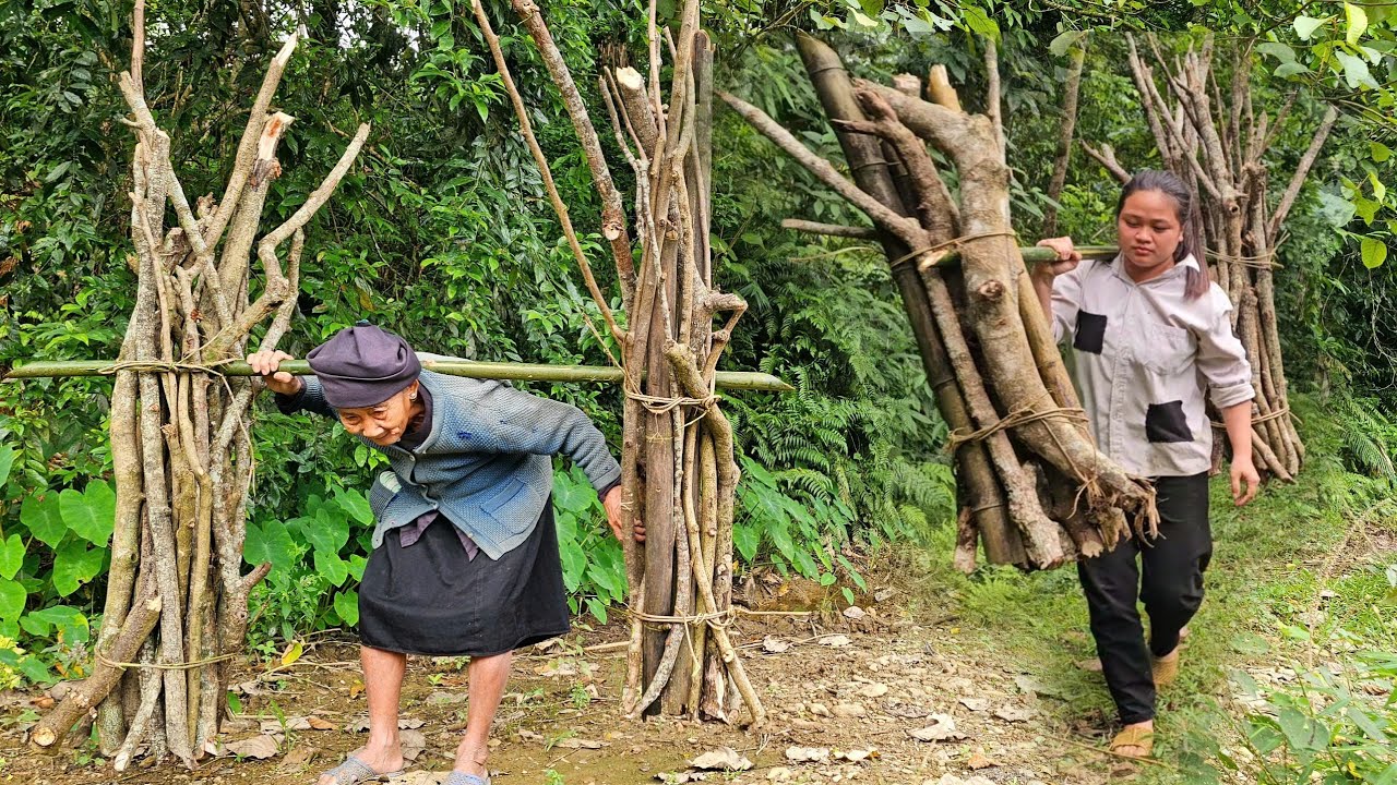 The poor old woman and the homeless girl hurried to find firewood to burn on the cold rainy day.