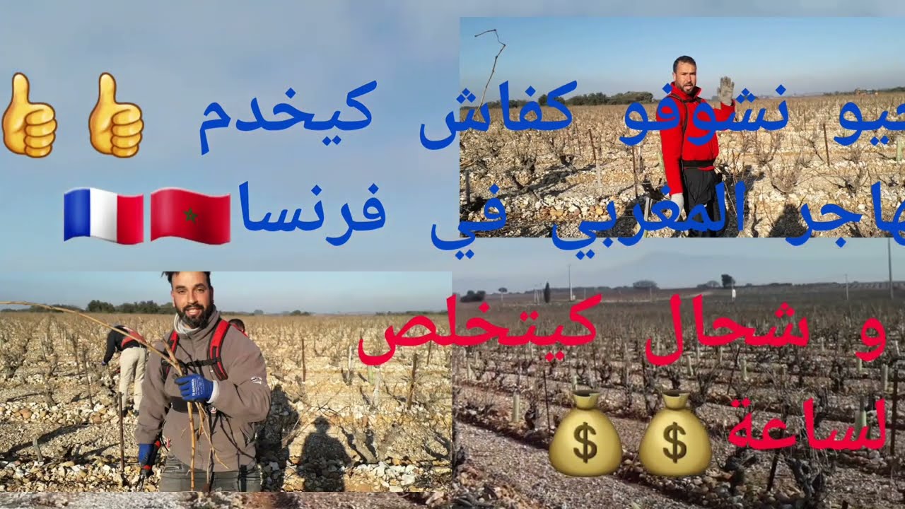 تيربحو 2 ديال المليون💰💰 في الزبير ديال الدالية🍇🍇☘  في فرنسا 🇨🇵 وأجواء رائعة مع الخوت💯💯