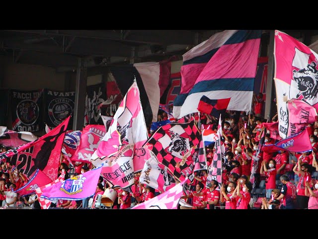 ゴール裏の旗好きの為のパイフラ動画 （セレッソ大阪編） - YouTube