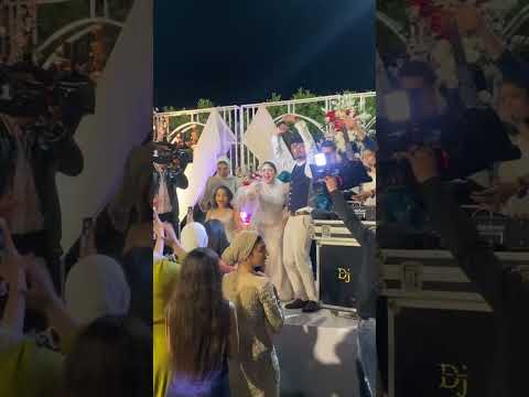 شوفت الواد ابو جيل بشعر المبلط في الديسكو