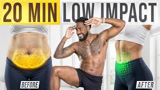 This 20 Min Step Workout Burns Fat Every Single Day (Beginners)