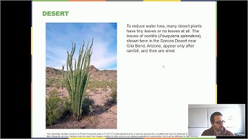 Ecosystems: Biogeography and biomes.