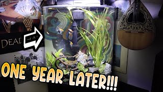 30 Gallon Freshwater Aquarium ONE YEAR LATER | 4 Easy Freshwater Fish for Beginners!