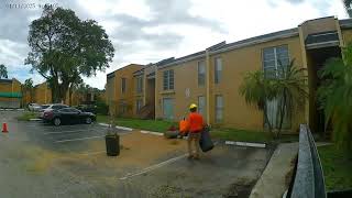 Hazardous Tree Removal