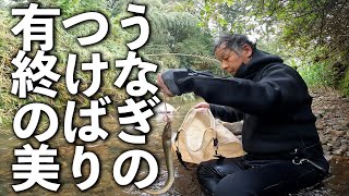 レジェンド漁師最後の天然うなぎのつけばり！