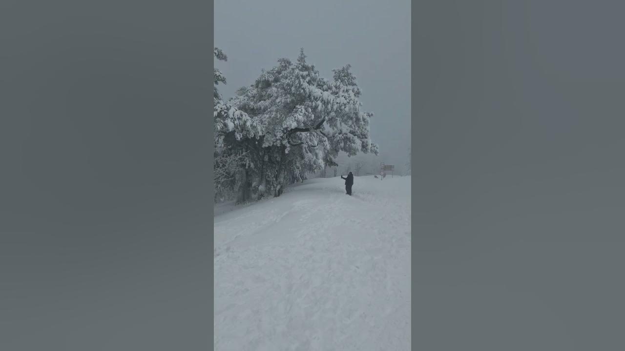 Снежна Шипка - YouTube