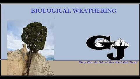 CSEC Geography: Biological weathering