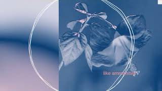Nemo   The Code (song of eurovision )