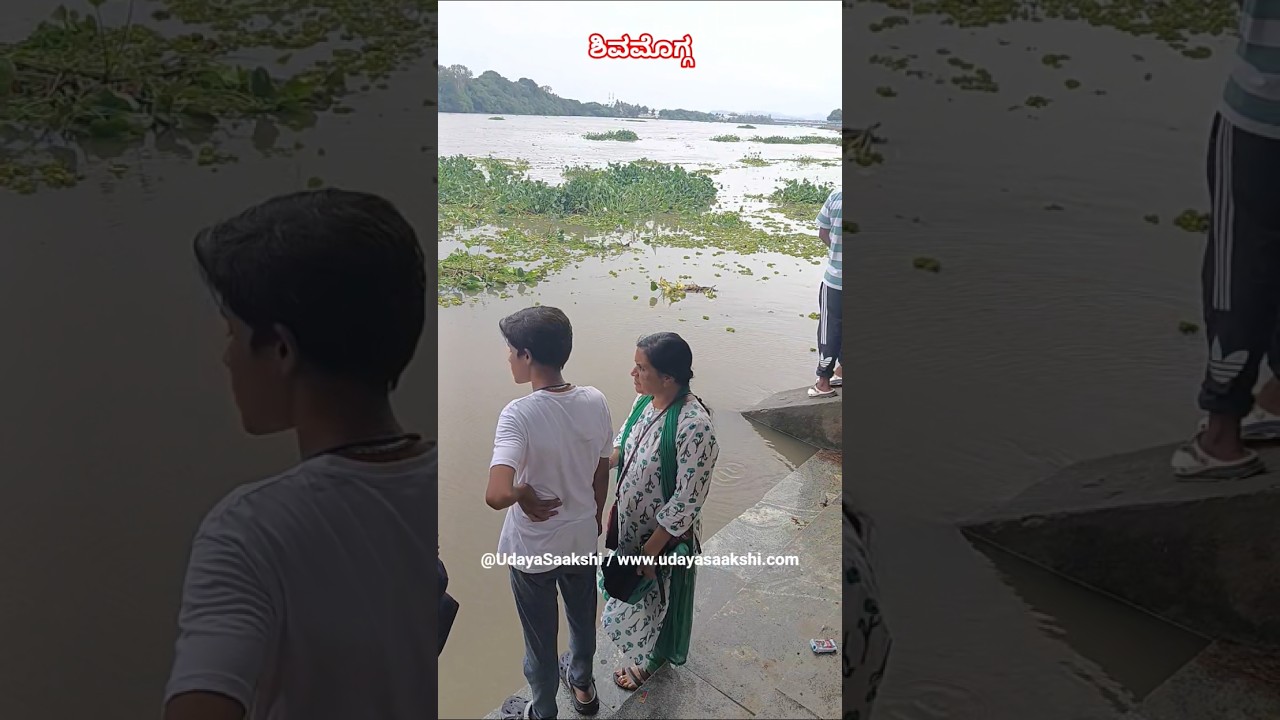 shimoga rain | tunga river | ಶಿವಮೊಗ್ಗ | ತುಂಗಾ ನದಿ ನೀರಿನ ಹರಿವು ಹೆಚ್ಚಳ |#shimoga #shivamogga #rain