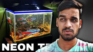 How I Built This Neon Tetra Biotope in a Tank by AQUATIC MEDIA 45,178 views 5 months ago 10 minutes, 21 seconds
