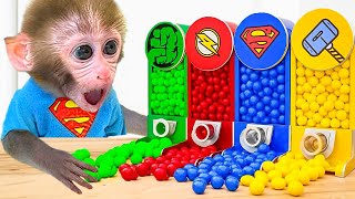 Macaco Bon Bon Come Frutas E Depois Se Diverte No Banho Na Piscina Do Jardim - Macaco Bon Bon