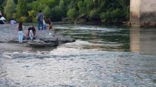 River Jumping From The Mostar Bridge