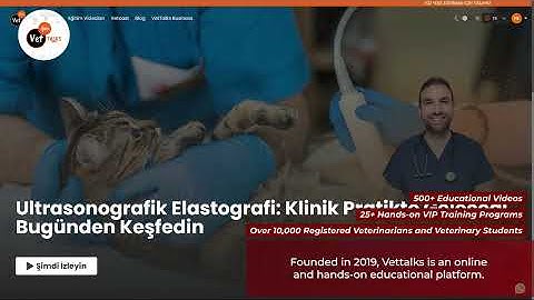 Hasvet Corporate Presentation 2025