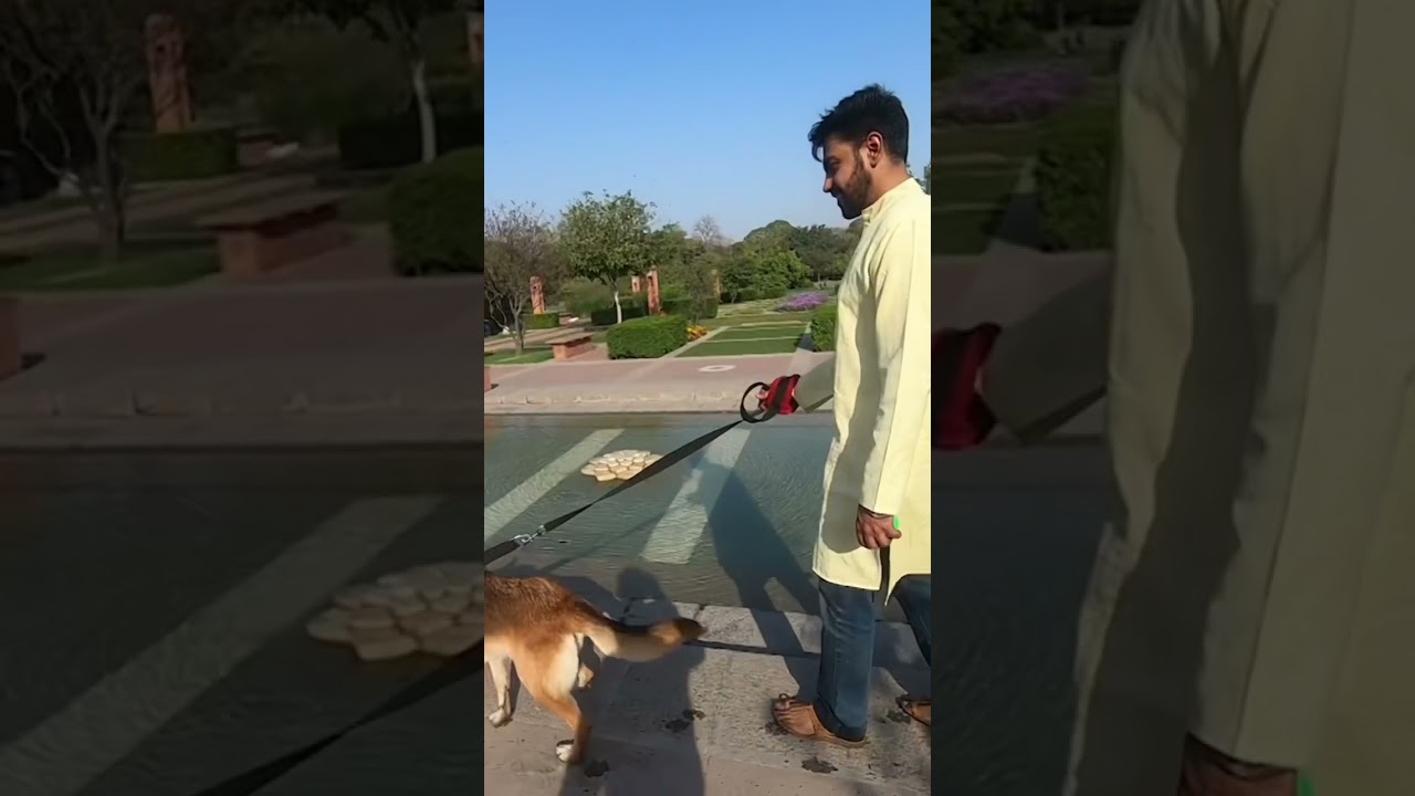 Dog friendly park in Delhi 