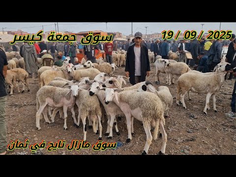 مباشرة من سوق جمعة كيسر اقليم سطات مع اتمنة بتاريخ 19 09 2025