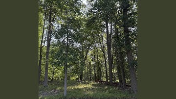 Why is it that people never take time to just look anymore. God gave us eyes, sometimes you...