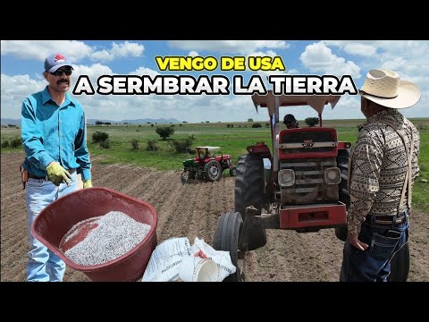 I CAME FROM THE UNITED STATES TO HELP MY SON PLANT