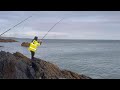 Uk sea fishing in anglesey 