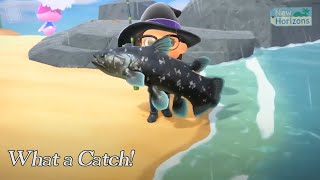 Awesome Catch Compilation #2