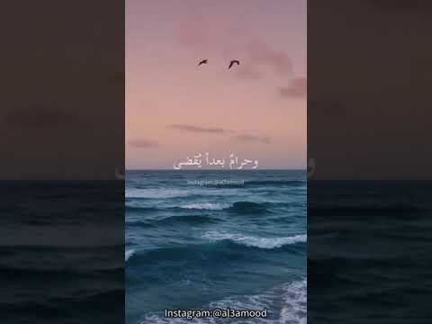 آنست النور أنا آت عمار صرصر