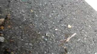 Audi a4 quattro open downpipes take off