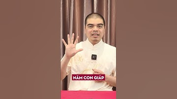 Đúng ngày 13/8 Âm: 4 con giáp đón cát khí dồi dào, vận đỏ không ngừng! , #daosituthong, #tuvi