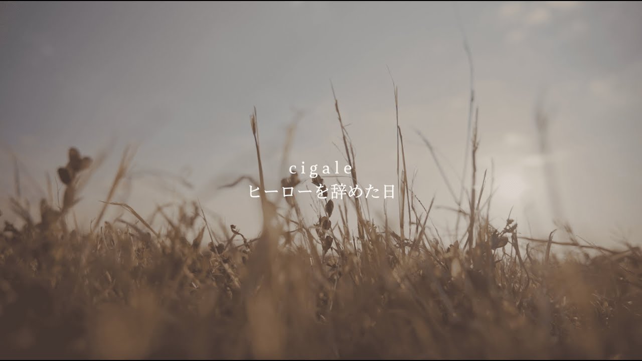 関係のない人 Lyric Video