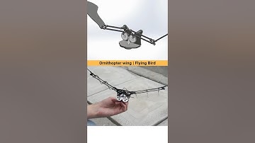 Ornithopter Wing | Flying Bird Mechanism ✅ #robotics #mechanical #mechanism #flyingbird #cadcam #3d
