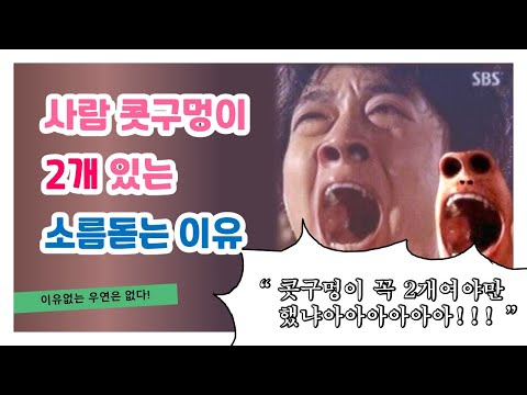 콧구멍 왜 2개인지 아는 사람..? | 인체의 신기한 사실 | 사람은 무엇으로 사는가 | 증산도 청소년