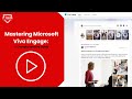 Mastering Microsoft Viva Engage: A Comprehensive Guide - IT Pros Management