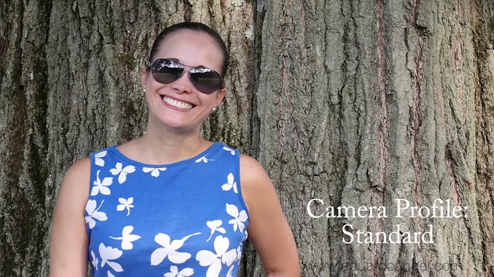 Panasonic GH4 V-Log L Grading Samples