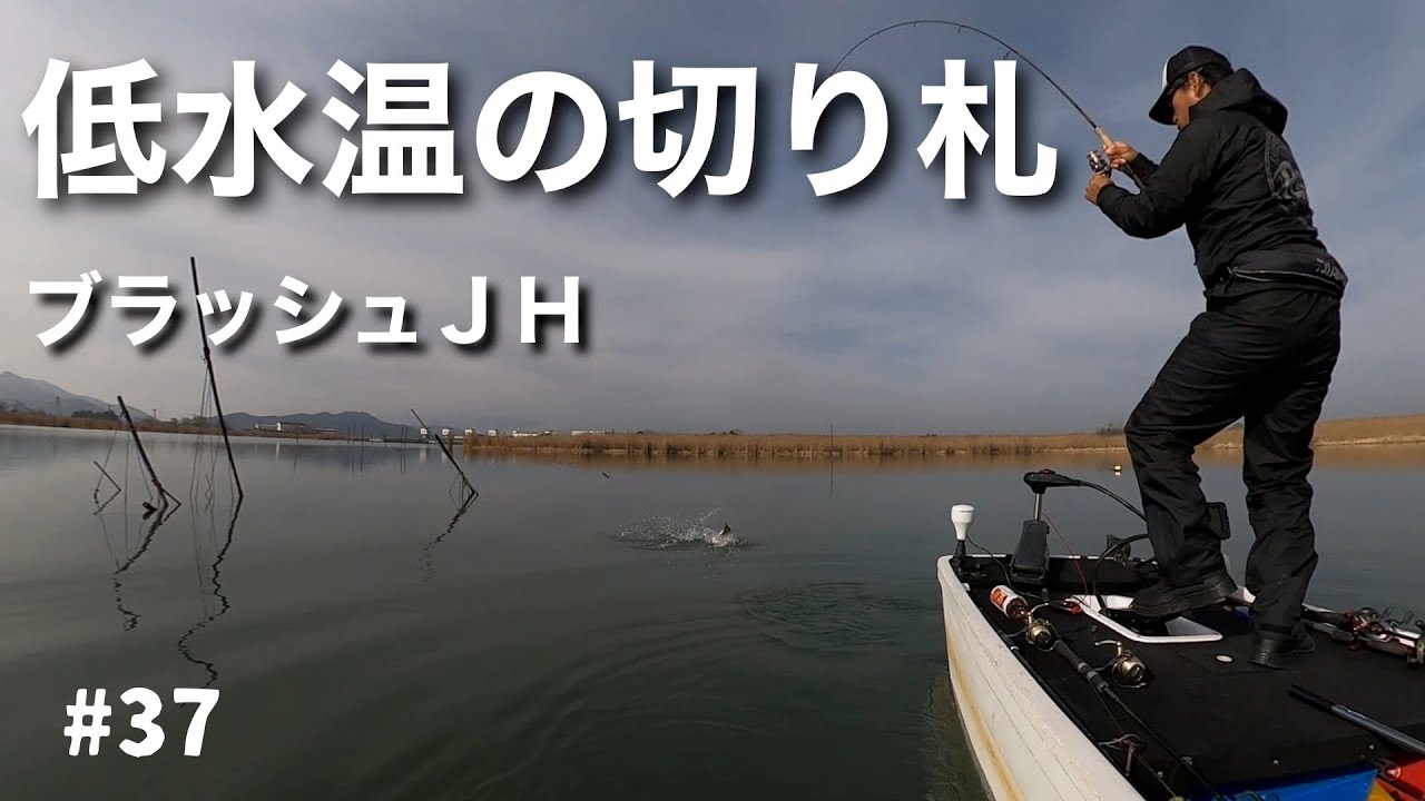 炸裂 低水温の切り札ベビーブラッシュホッグjhボトコンスイミング年釣り納め 12 29 Youtube 炸裂 低水温の切り札ベビーブラッシュホッグjhボトコンスイミング年釣り納め 12 29 Youtube