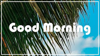 Roa - Good Morning (Free Copyright Safe Music)