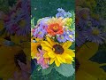 Herbst Farben #dahlien #blumen #Farben #gartenliebe #gartentipps #landleben #natur #coolflowers