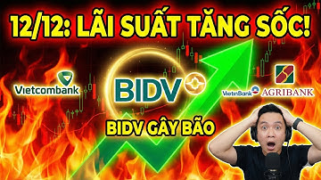Lãi Suất Ngân Hàng 12/12 Tăng Sốc: Big 4 "Nhập Cuộc" - Gửi Tiền Ở Đâu Lời Nhất?