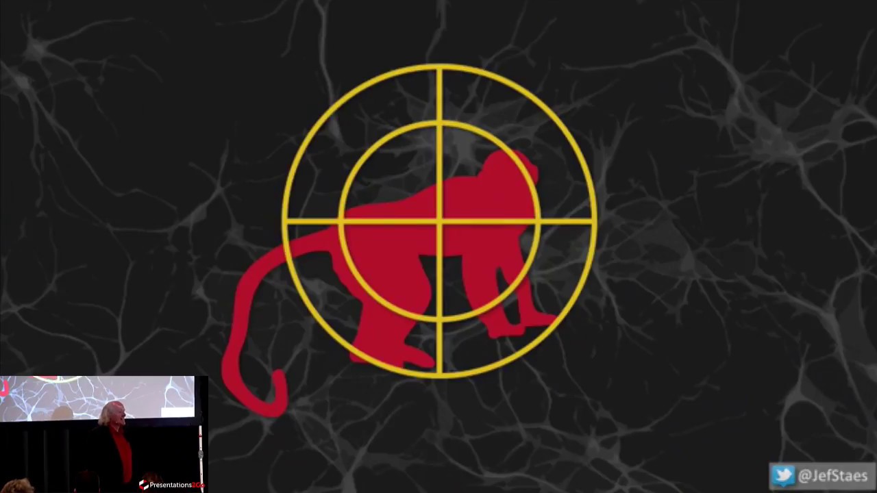 Red Monkey Innovation Management by Jef Staes