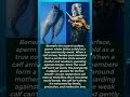 The Heartwarming Way Sperm Whales Welcome Their Newborns
