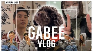 [VLOG] 라치카 신년운세🤭 / 드디어 결심!🙌🏻가비 유기견 입양 vlog🐴💖