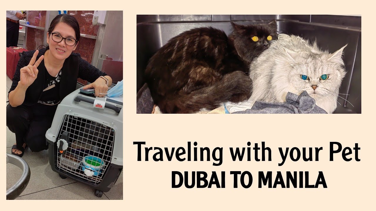Traveling with your Pet from Dubai To Manila