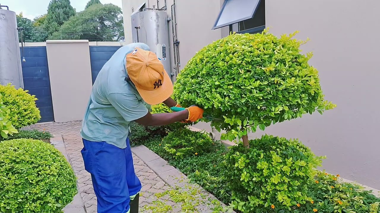 Back again at work 😪 😒 😫 don't forget to subscribe like and share 